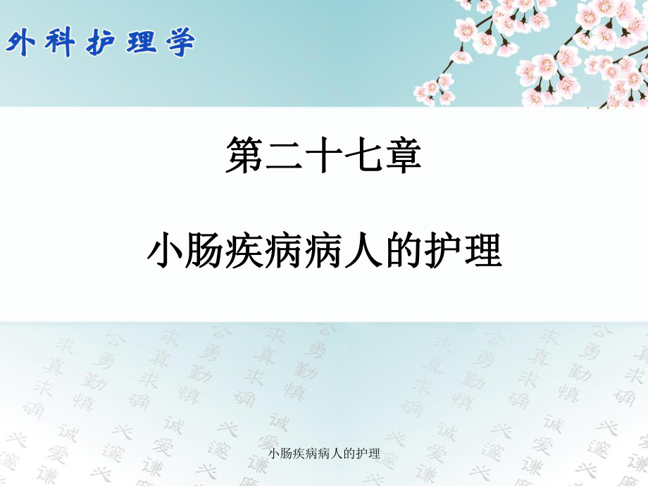 小肠疾病病人的护理课件.ppt_第1页