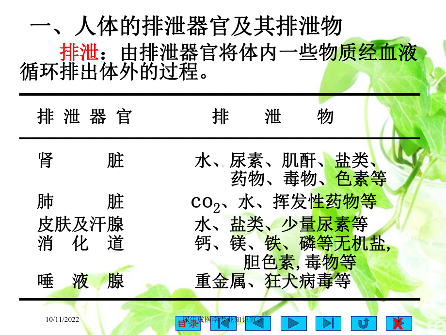 尿生成医学专业知识宣讲课件.ppt_第1页