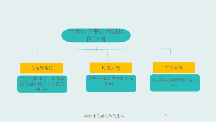 手术体位对机体的影响培训课件.ppt_第3页