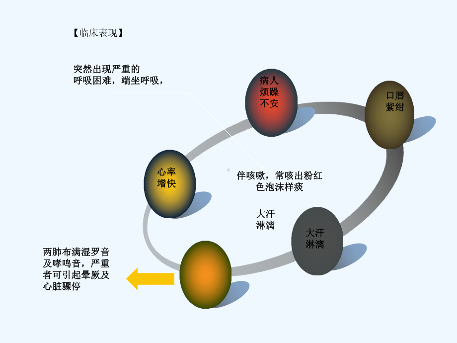 急性肺水肿护理查房课件.ppt_第3页