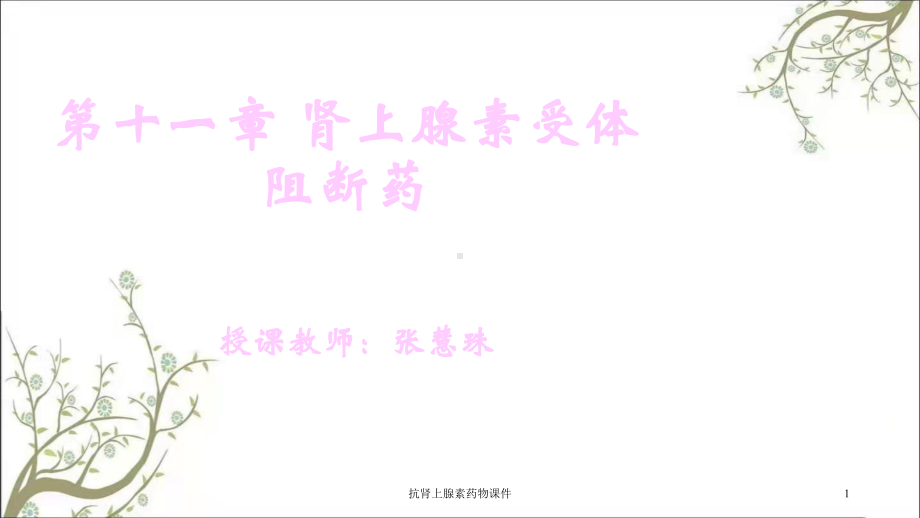 抗肾上腺素药物课件.ppt_第1页