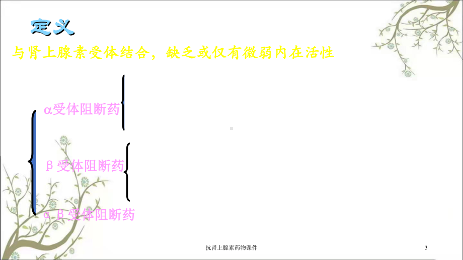 抗肾上腺素药物课件.ppt_第3页