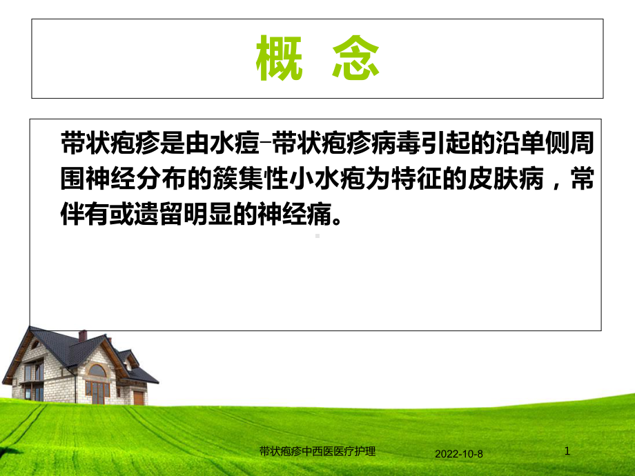 带状疱疹中西医医疗护理课件.ppt_第1页