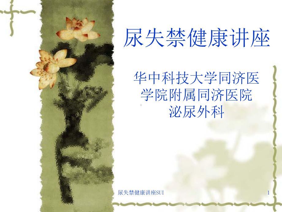 尿失禁健康讲座SUI课件.ppt_第1页