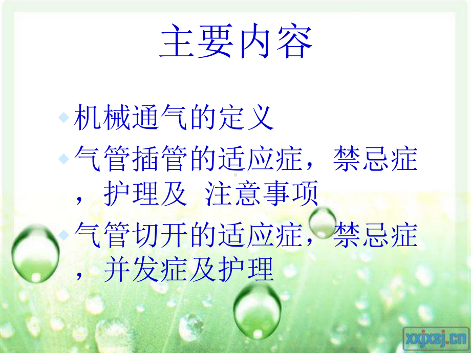 机械通气(气管插管及气管切开)护理课件.ppt_第2页