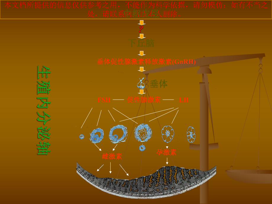 月经周期和性激素项培训课件.ppt_第2页