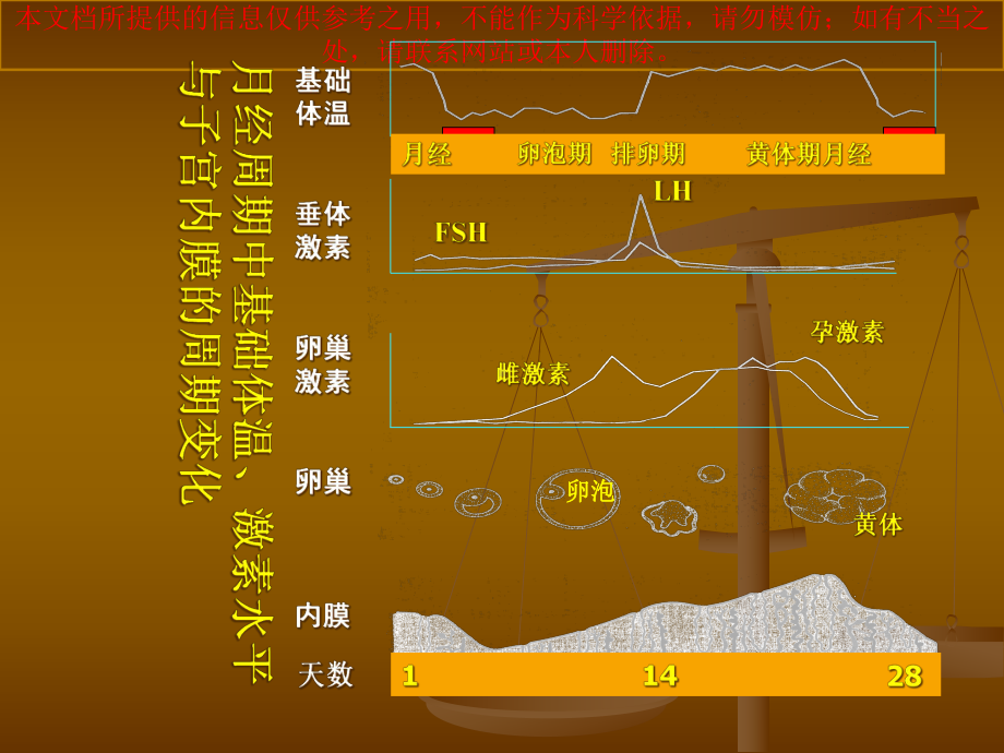 月经周期和性激素项培训课件.ppt_第3页