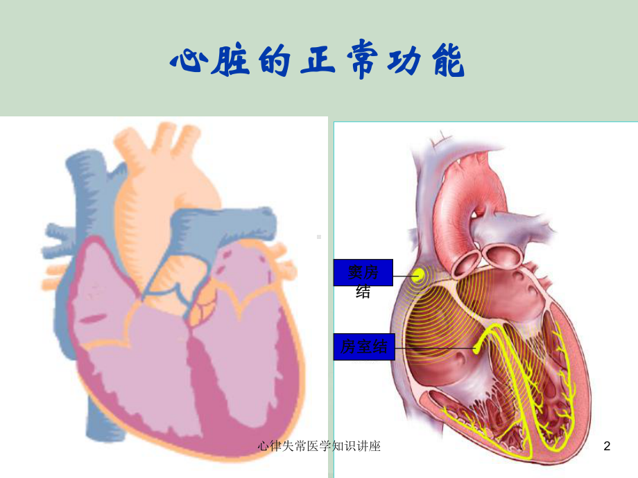 心律失常医学知识讲座培训课件.ppt_第2页