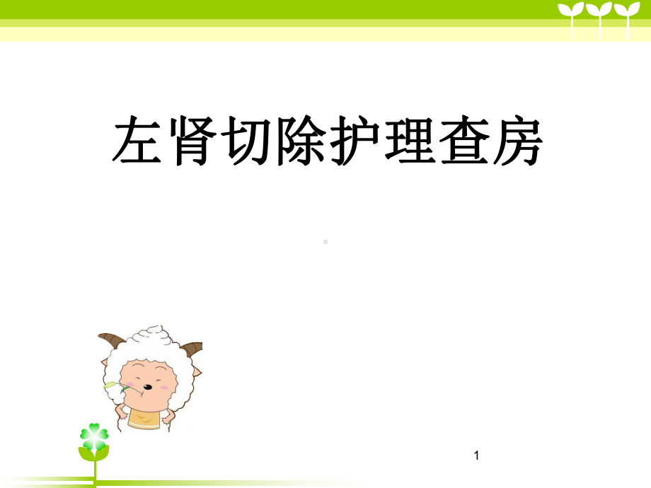 左肾切除护理查房课件-2.ppt_第1页