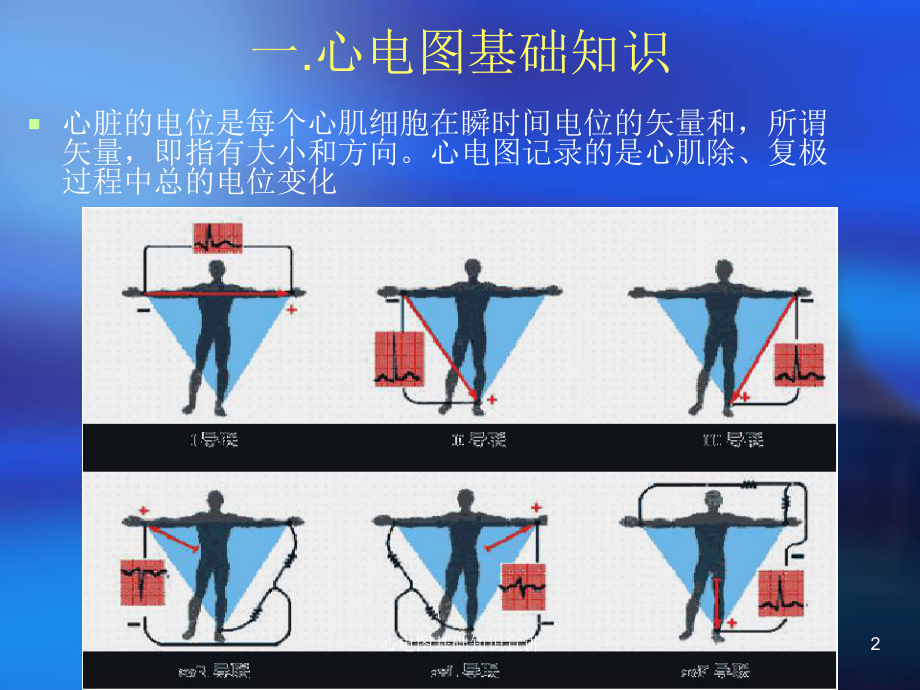 心电图基础知识宣讲培训课件.ppt_第2页