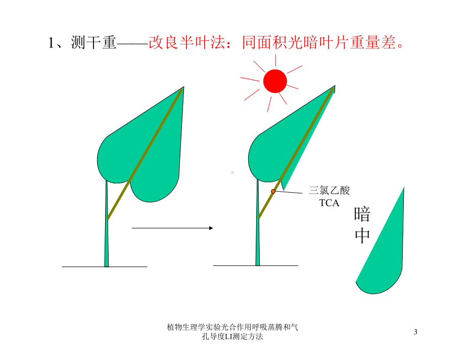 植物生理学实验光合作用呼吸蒸腾和气孔导度LI测定方法培训课件.ppt_第3页