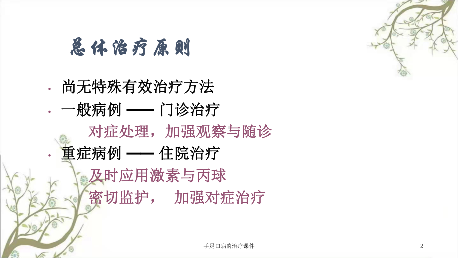 手足口病的治疗课件.ppt_第2页