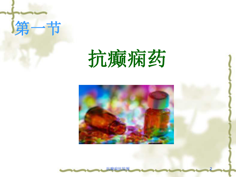 抗癫痫抗惊厥培训课件.ppt_第2页