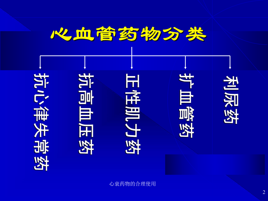 心衰药物的合理使用课件.ppt_第2页