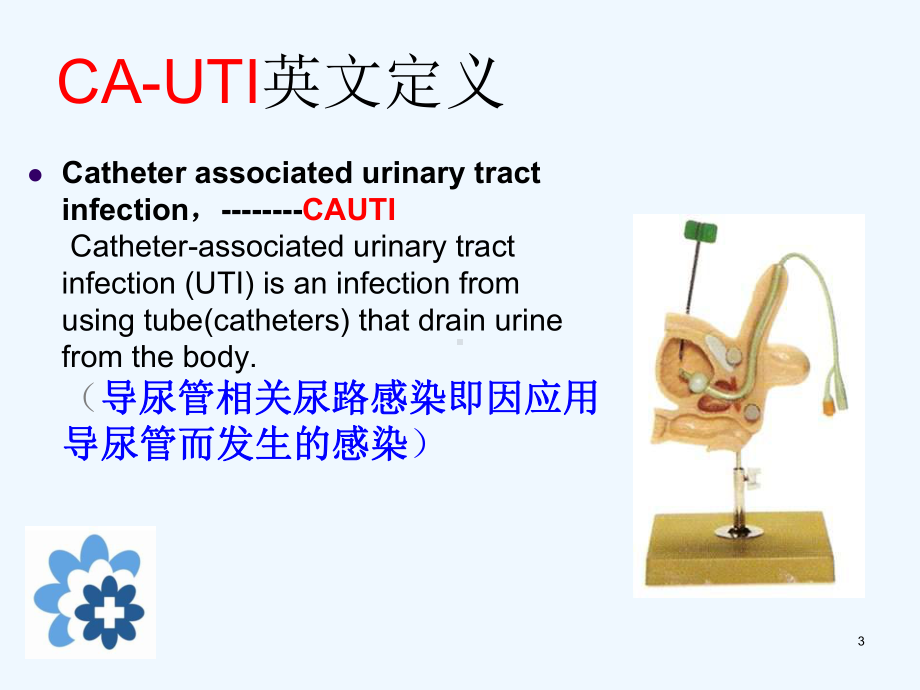 尿道感染课件.ppt_第3页