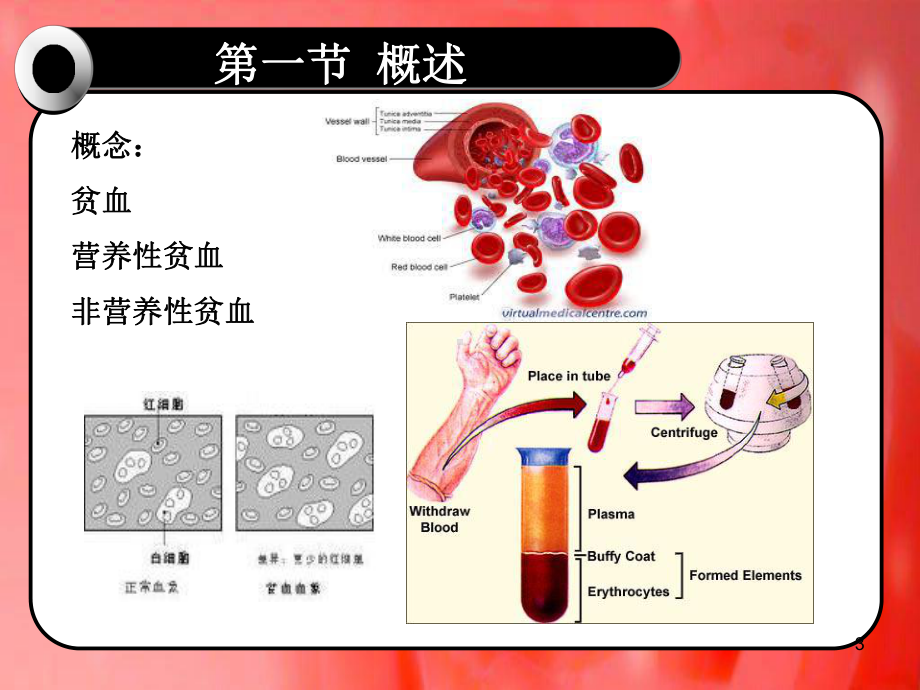 改善营养性贫血的功能性食品课件-2.ppt_第3页