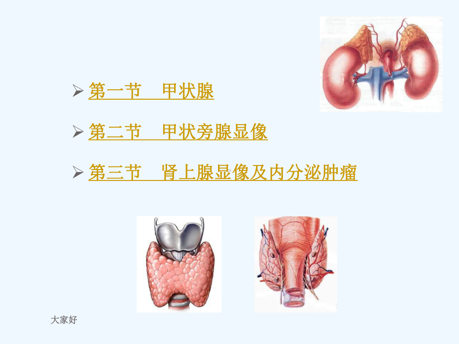 核医学-内分泌系统-课件.ppt_第2页