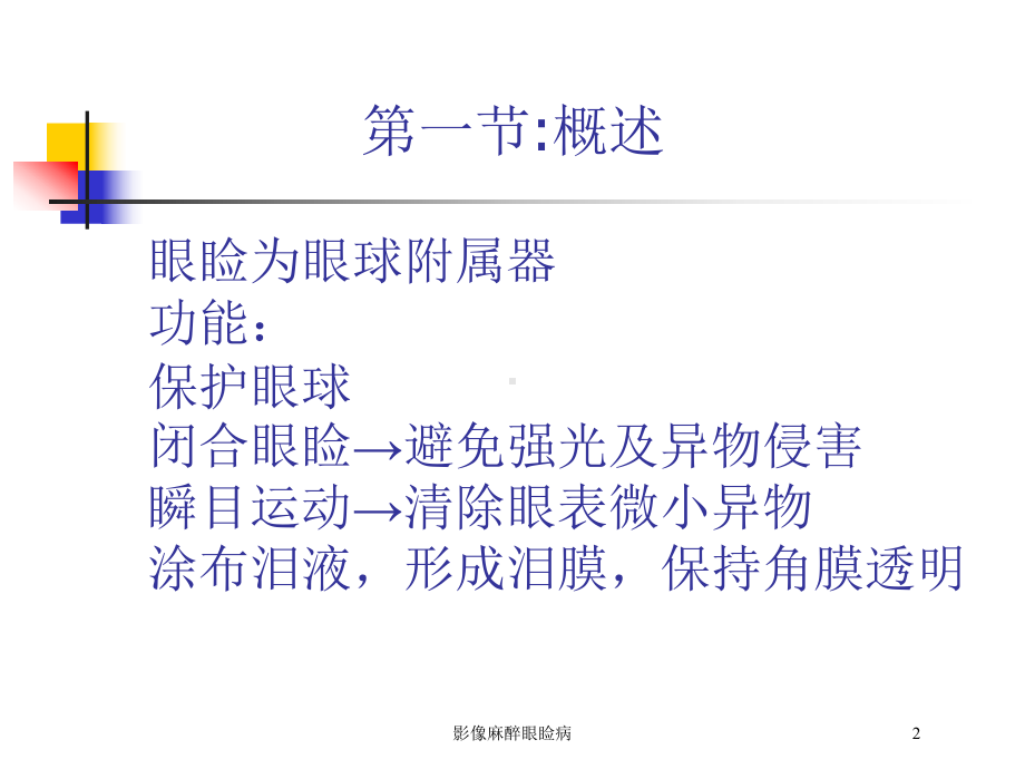 影像麻醉眼睑病培训课件.ppt_第2页