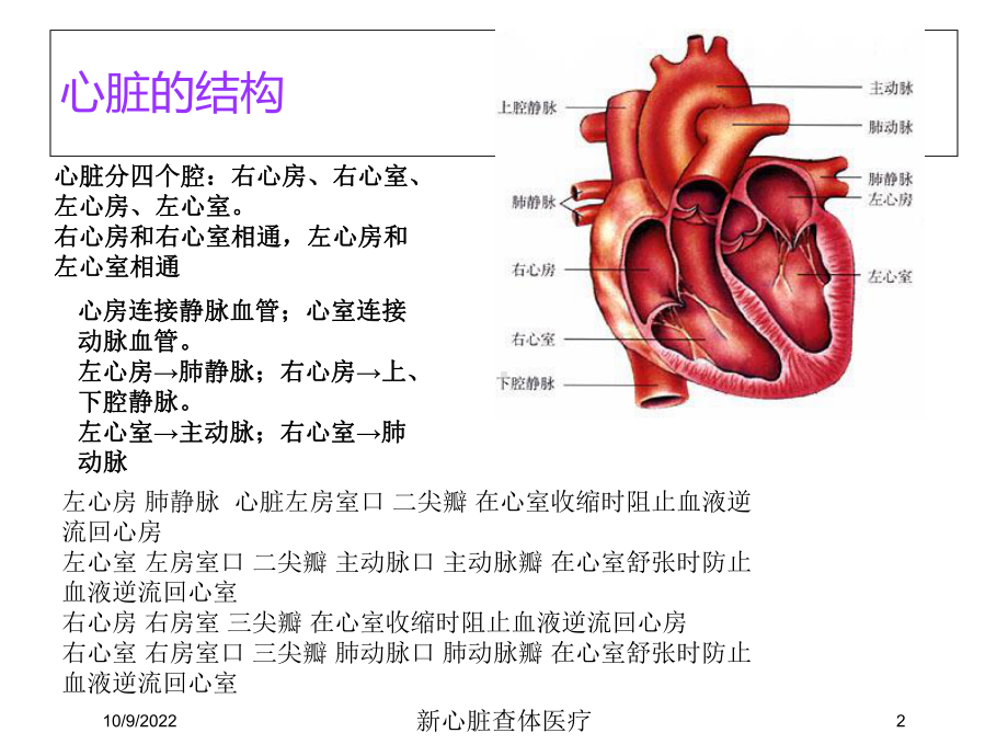 新心脏查体医疗培训课件.ppt_第2页