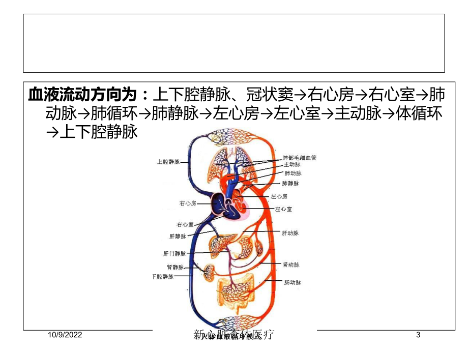 新心脏查体医疗培训课件.ppt_第3页