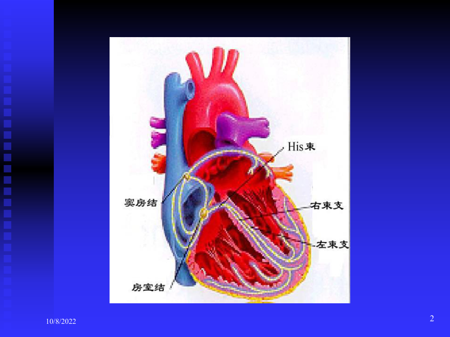 常见心律失常的心电图课件.ppt_第2页