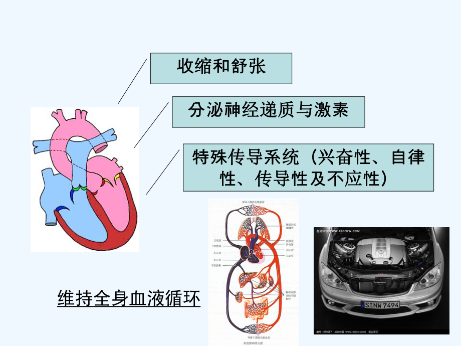 康复评定-心肺功能评定课件.ppt_第3页