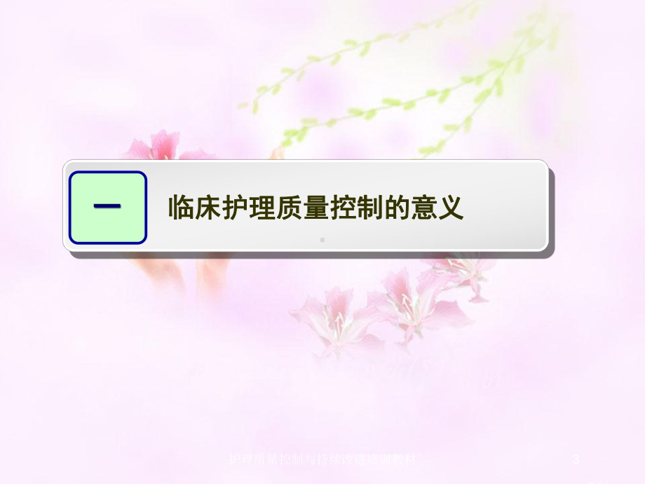 护理质量控制与持续改进培训教材培训课件.ppt_第3页