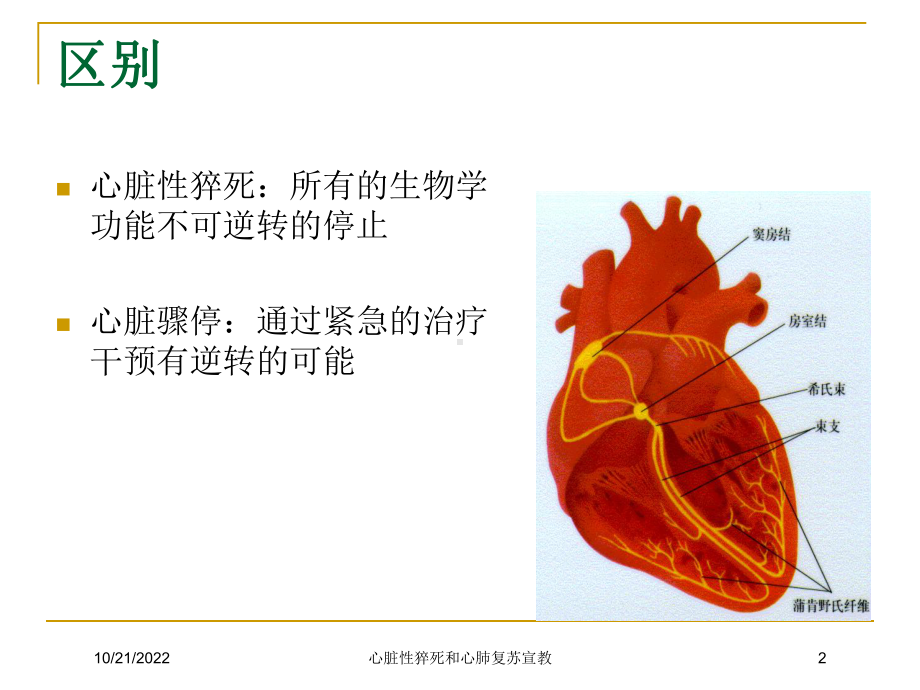 心脏性猝死和心肺复苏宣教培训课件.ppt_第2页