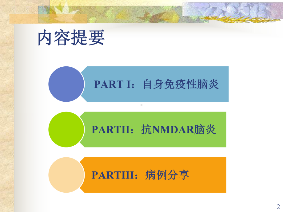 抗NMDA受体脑炎参考课件.ppt_第2页