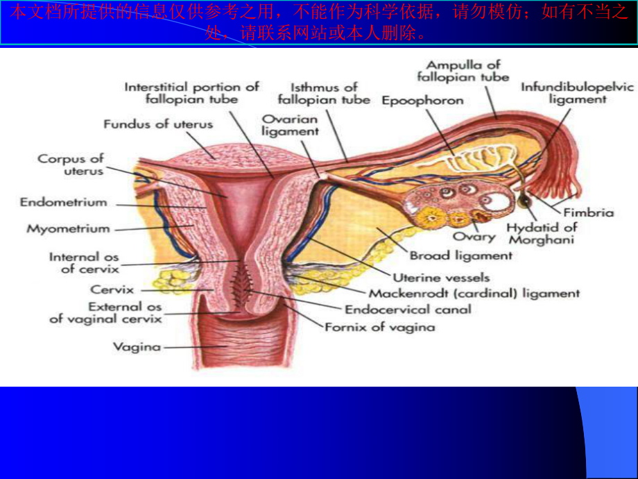 异位妊娠新进展培训课件.ppt_第1页