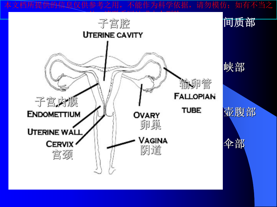 异位妊娠新进展培训课件.ppt_第2页