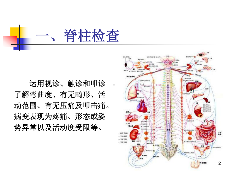 推拿临床常用特殊检查课件.ppt_第2页