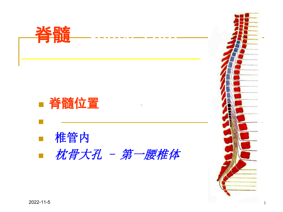 椎管常见肿瘤培训课件.ppt_第1页