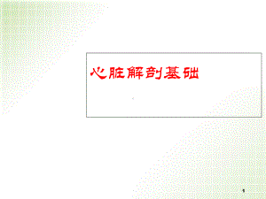 心脏血管解剖学习课件.ppt