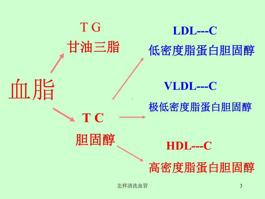 怎样清洗血管课件.ppt_第3页