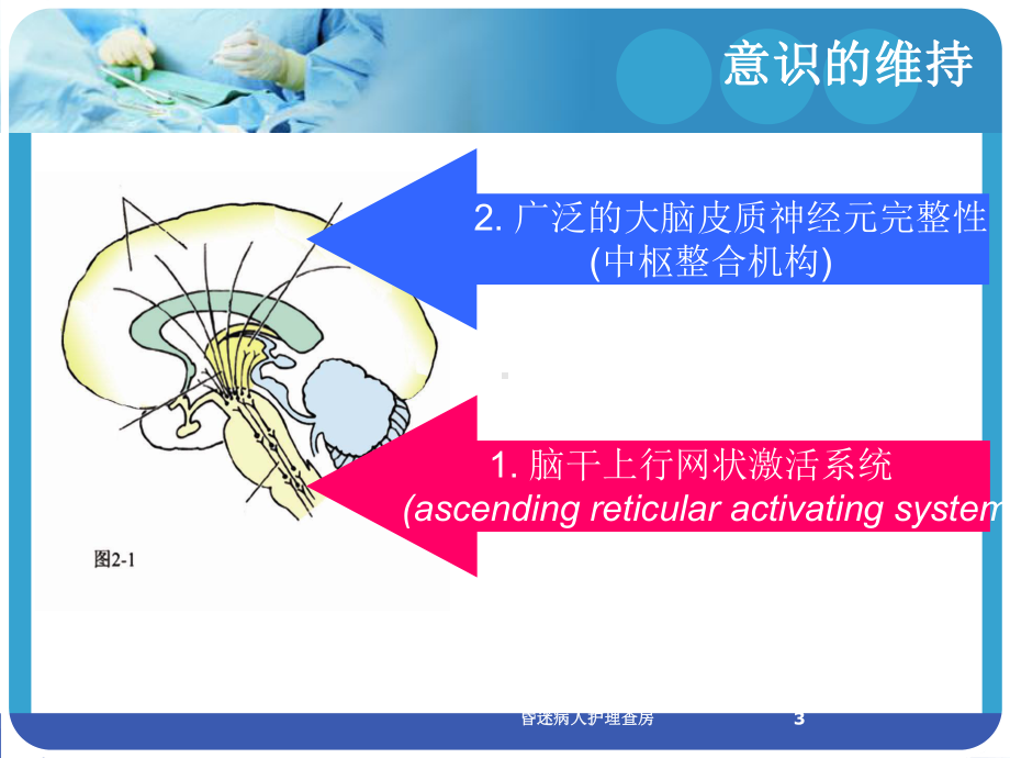 昏迷病人护理查房培训课件.ppt_第3页