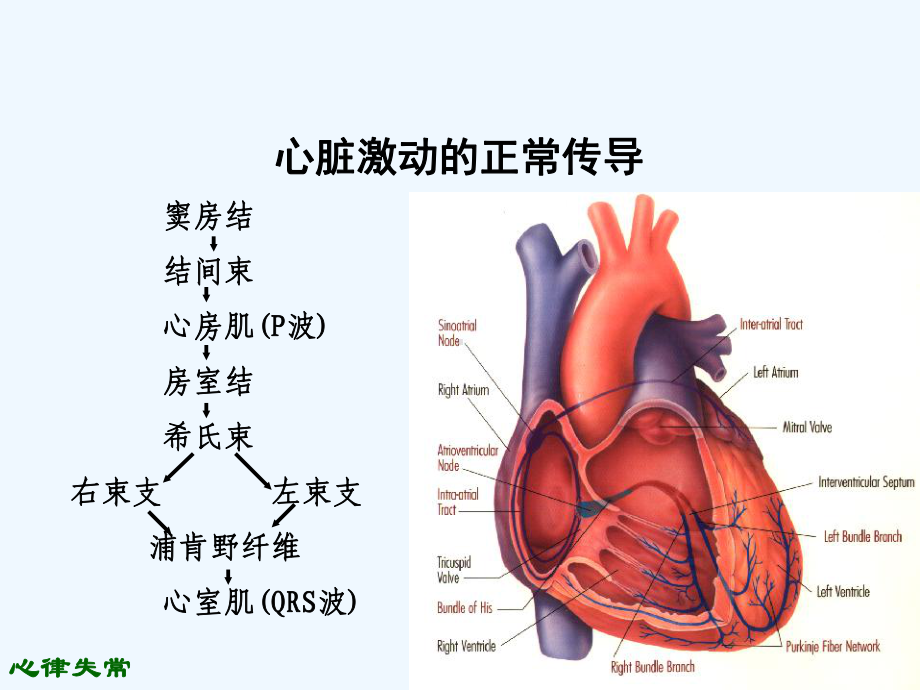 心内科常见心电图诊断与处理课件.ppt_第3页