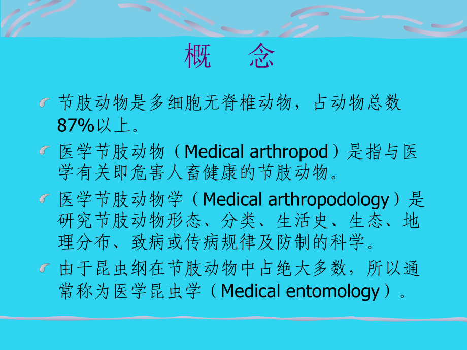 教学培训-医学节肢动物概述-课件.ppt_第2页