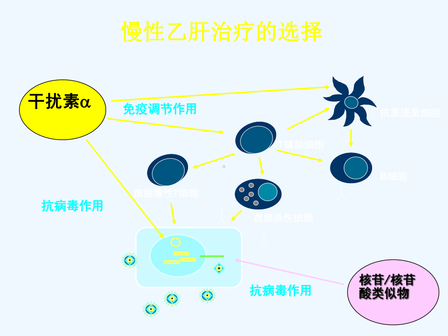 抗乙肝病毒治疗–持续应答还是维持应答课件.ppt_第3页