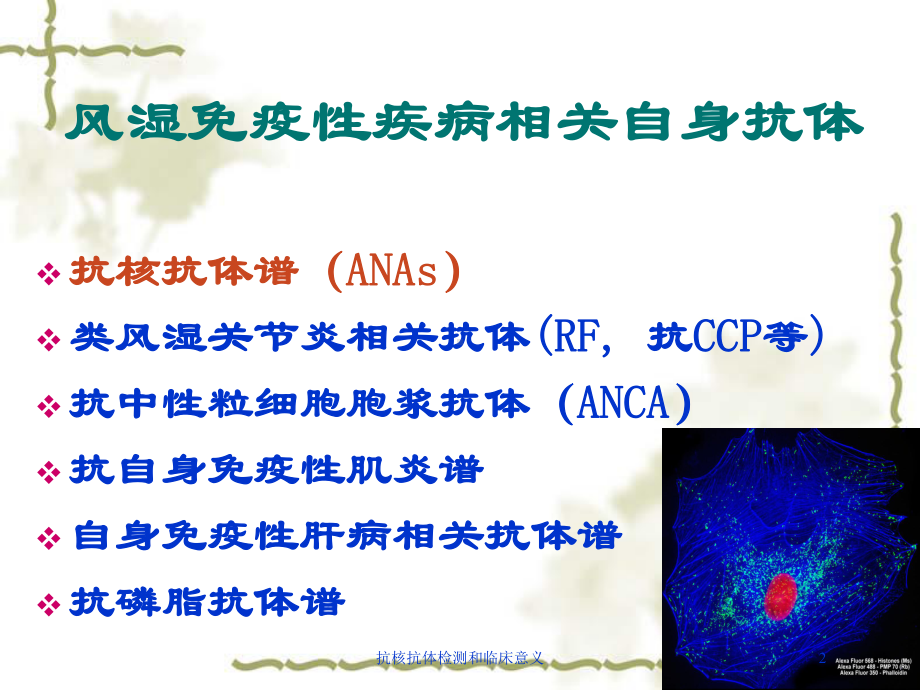 抗核抗体检测和临床意义培训课件.ppt_第2页