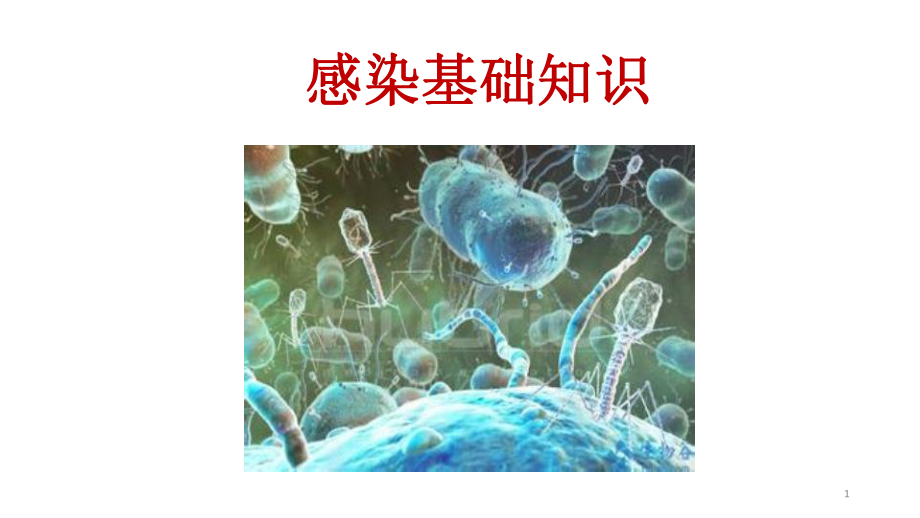 感染学基础知识课件.pptx_第1页