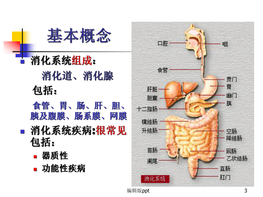 总论胃炎课件.ppt_第3页