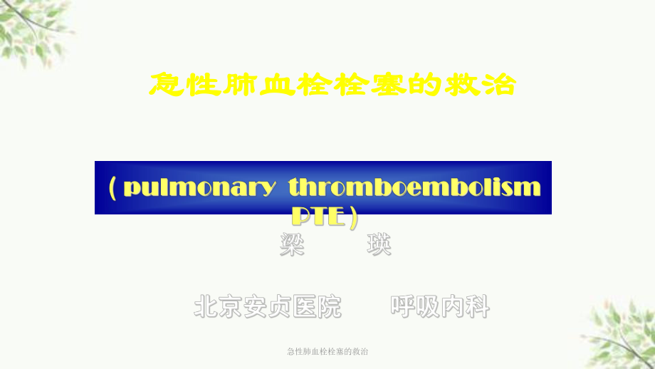 急性肺血栓栓塞的救治课件.ppt_第1页