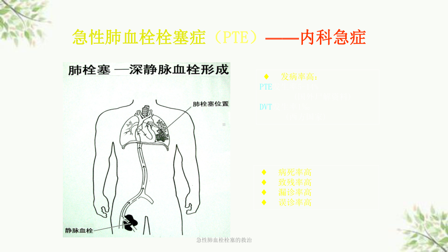 急性肺血栓栓塞的救治课件.ppt_第2页