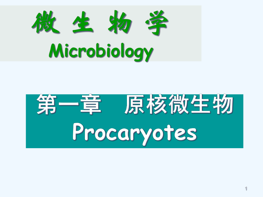 微生物学课件2.ppt_第1页