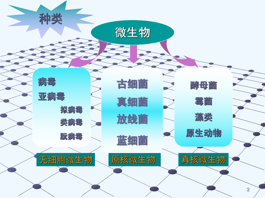 微生物学课件2.ppt_第2页