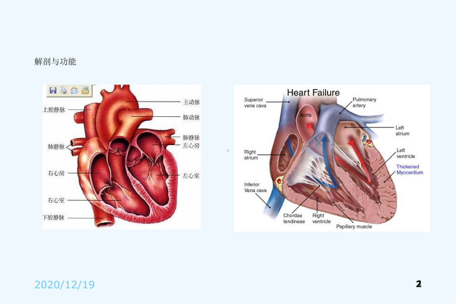 心力衰竭内科学课件.ppt_第2页