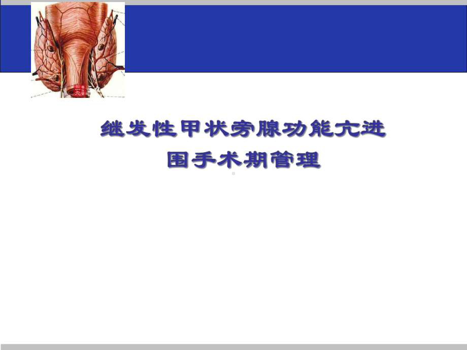 尿毒症继发甲状旁腺功能亢进的手术治疗课件.ppt_第1页