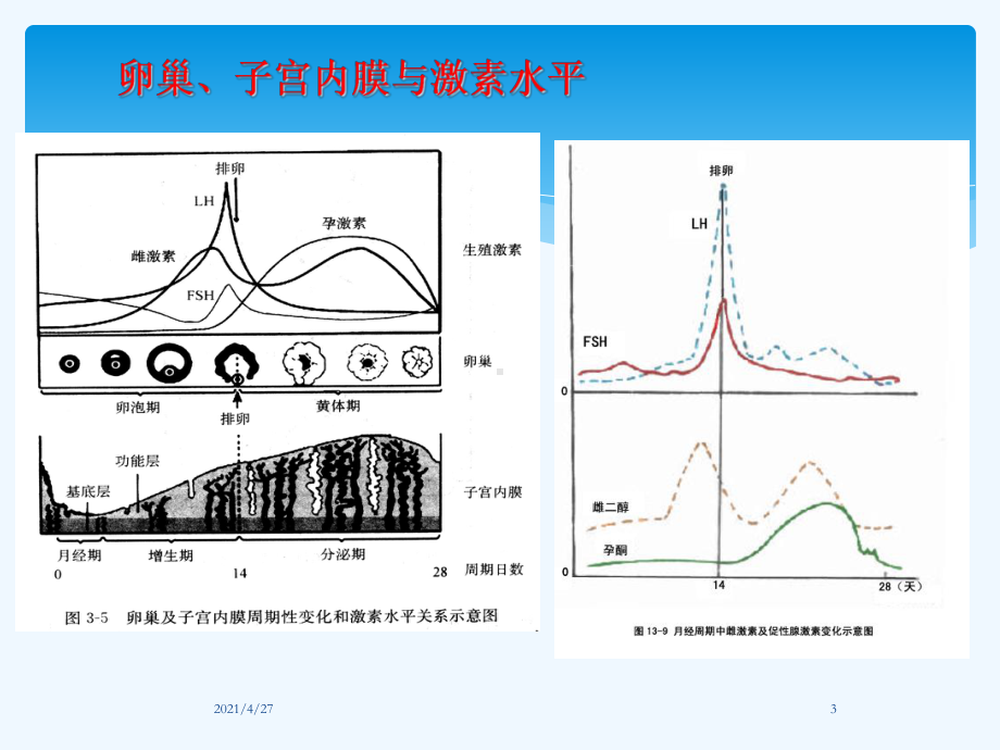 性激素检测临床意义课件.ppt_第3页