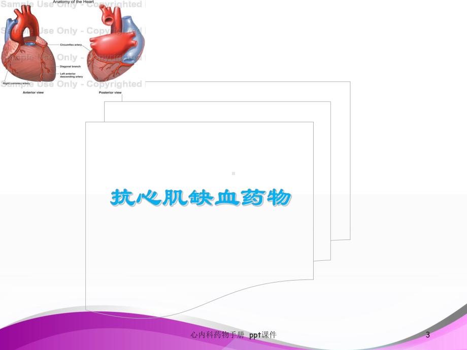 心内科药物手册-课件.ppt_第3页